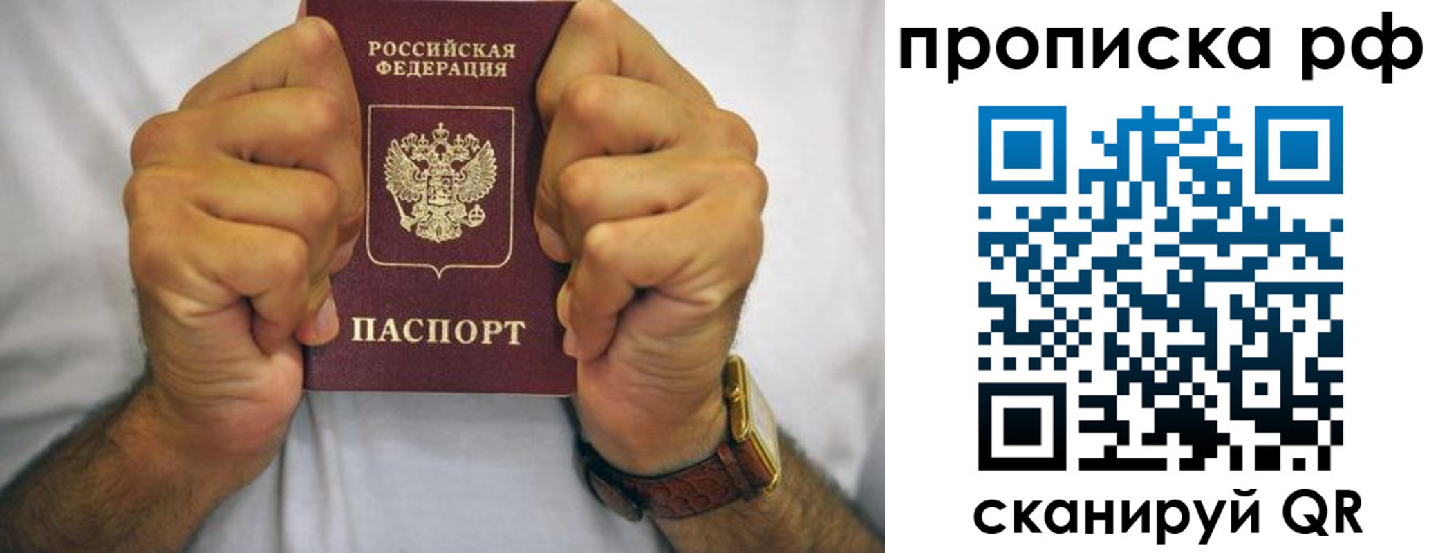 прописка регистрация в Петропавловске-Камчатском